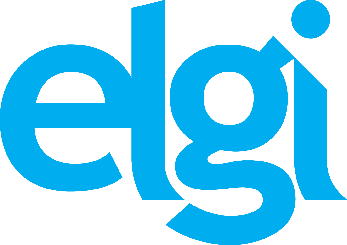 ELGI