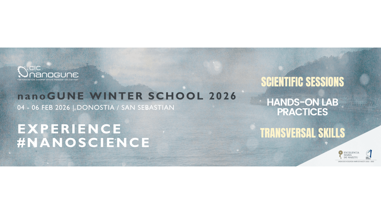 NANOGUNE Winter School 2026